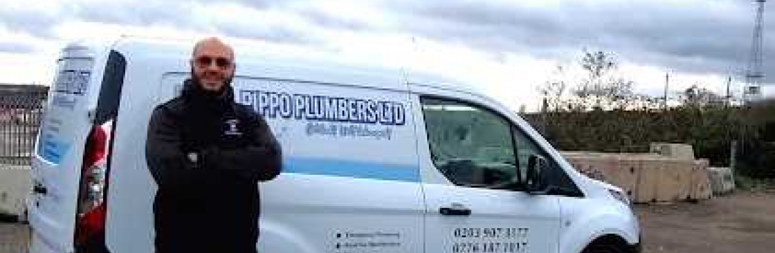 Pippo Plumbers Ltd Cover Image