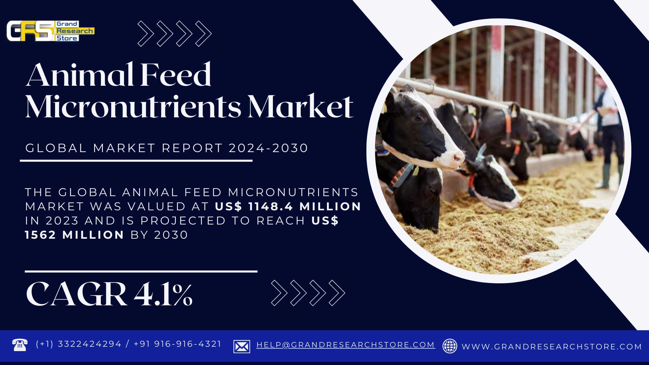 Animal Feed Micronutrients Market, Global Outlook ..