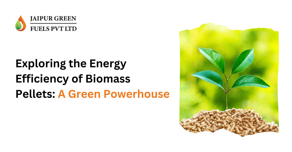 Exploring the Energy Efficiency of Biomass Pellets: A Green Powerhouse - Jaipur Green