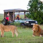 Kenya safari holidays Profile Picture