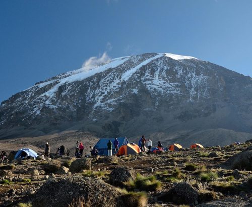 Mt. Kilimanjaro Safari Tour Packages | Africa Paradise Adventures
