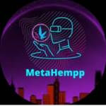 Meta Hempp Profile Picture