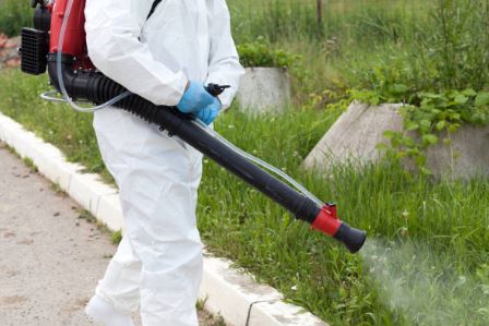 A Complete Guide to Pest Termite Control and Finding the Best Pest Control in Maryland | Vipon