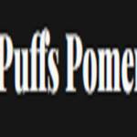 Cream Puffs Pomeranians  Profile Picture