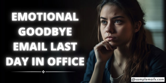 Emotional Goodbye Email Last Day in Office (With Example)