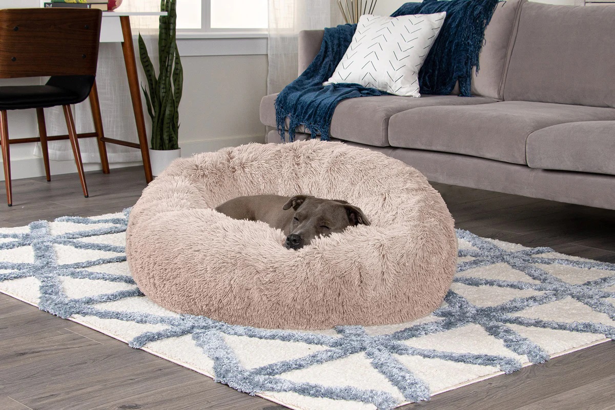 Pawsitively Pampered: An In-Depth Breakdown of Different Types of Dog Beds – Australian Guru