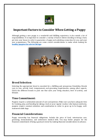 Important Factors to Consider When Getting a Puppy
