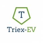 Triex Ev Profile Picture