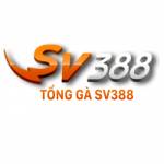 sv388tongnet Profile Picture