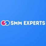 smm experts Profile Picture