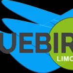 Bluebird Limo Inc Profile Picture