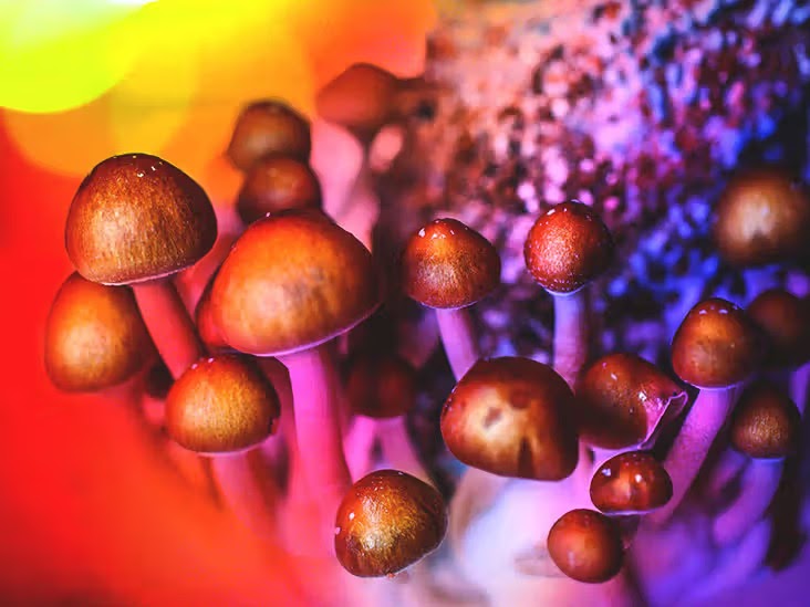 Unveiling the Potential: Legalizing Medicinal Use of Psychedelics