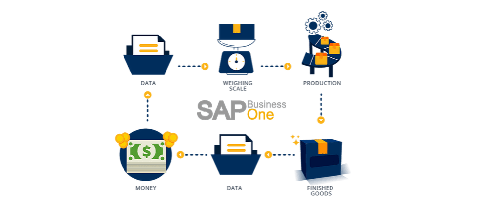 SAP Business One for Retail Industry | Cogniscient