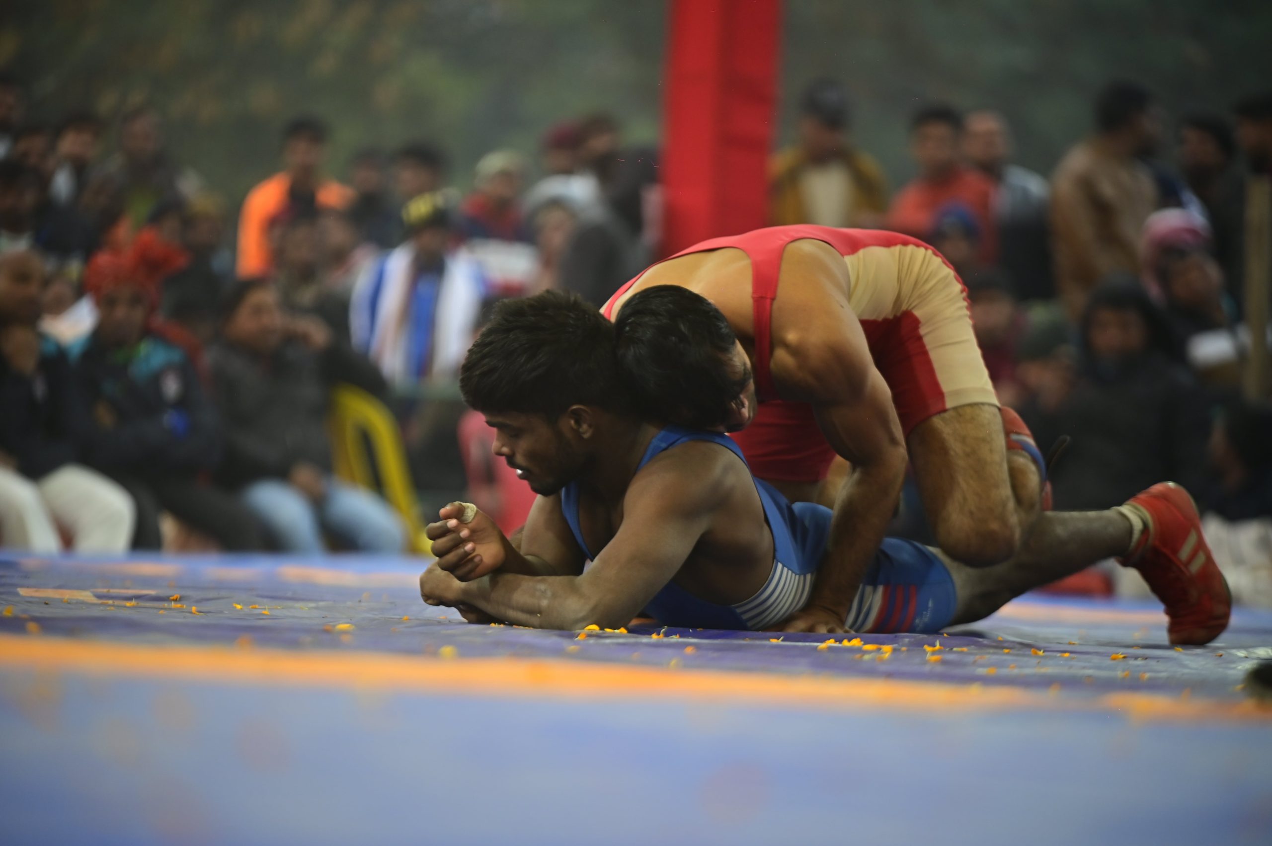 Tips to Become A Professional Wrestler in India | TopsRank