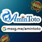 AMINTOTO Profile Picture