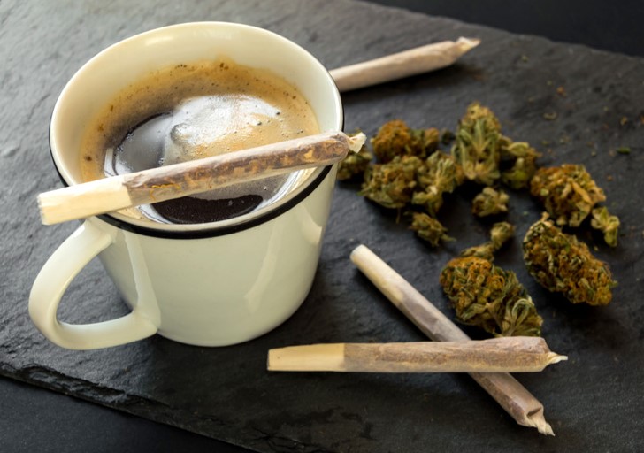 Wake and Bake: Discovering a Blissful Morning Ritual - Dagga Seeds