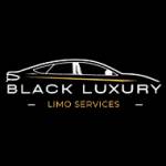 burlington limo service Profile Picture
