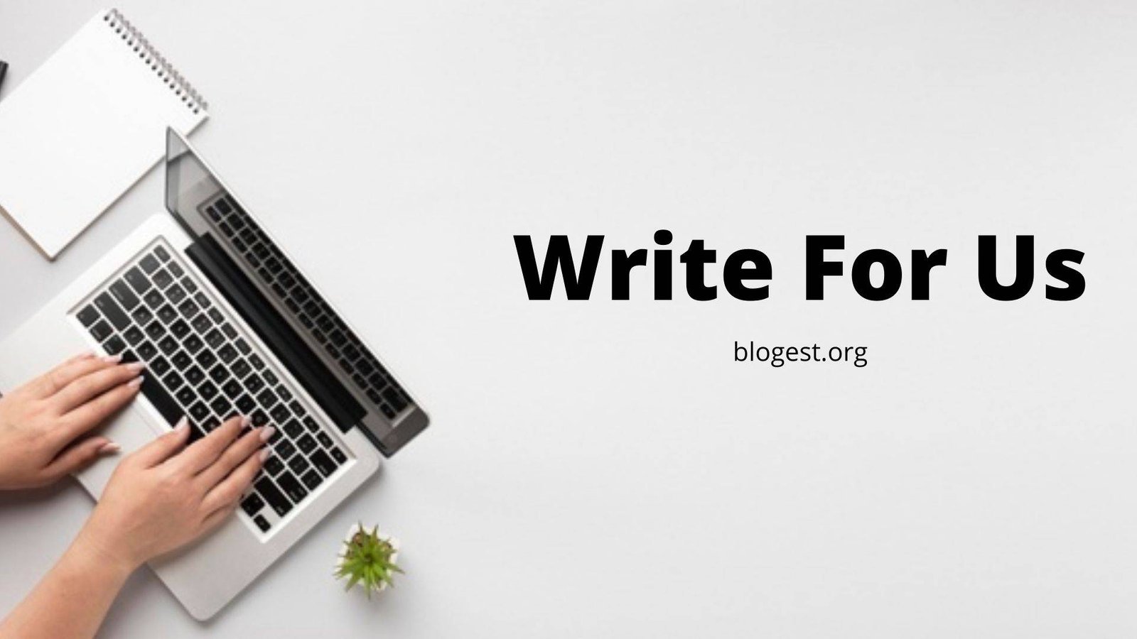 Write For Us - Niche Business & Finance Guest Posting opportunity