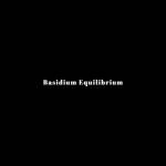 Basidium Equilibrium Profile Picture