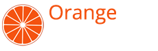 Top 10 Digital Marketing Agencies in Chennai 2024 | Orange Digital
