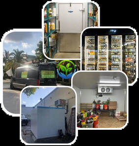 Unbeatable Commercial Refrigeration in West Palm Beach, Florida - Green Refrigeration LLC