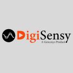 Digisensy - Digital Marketing Agency Profile Picture