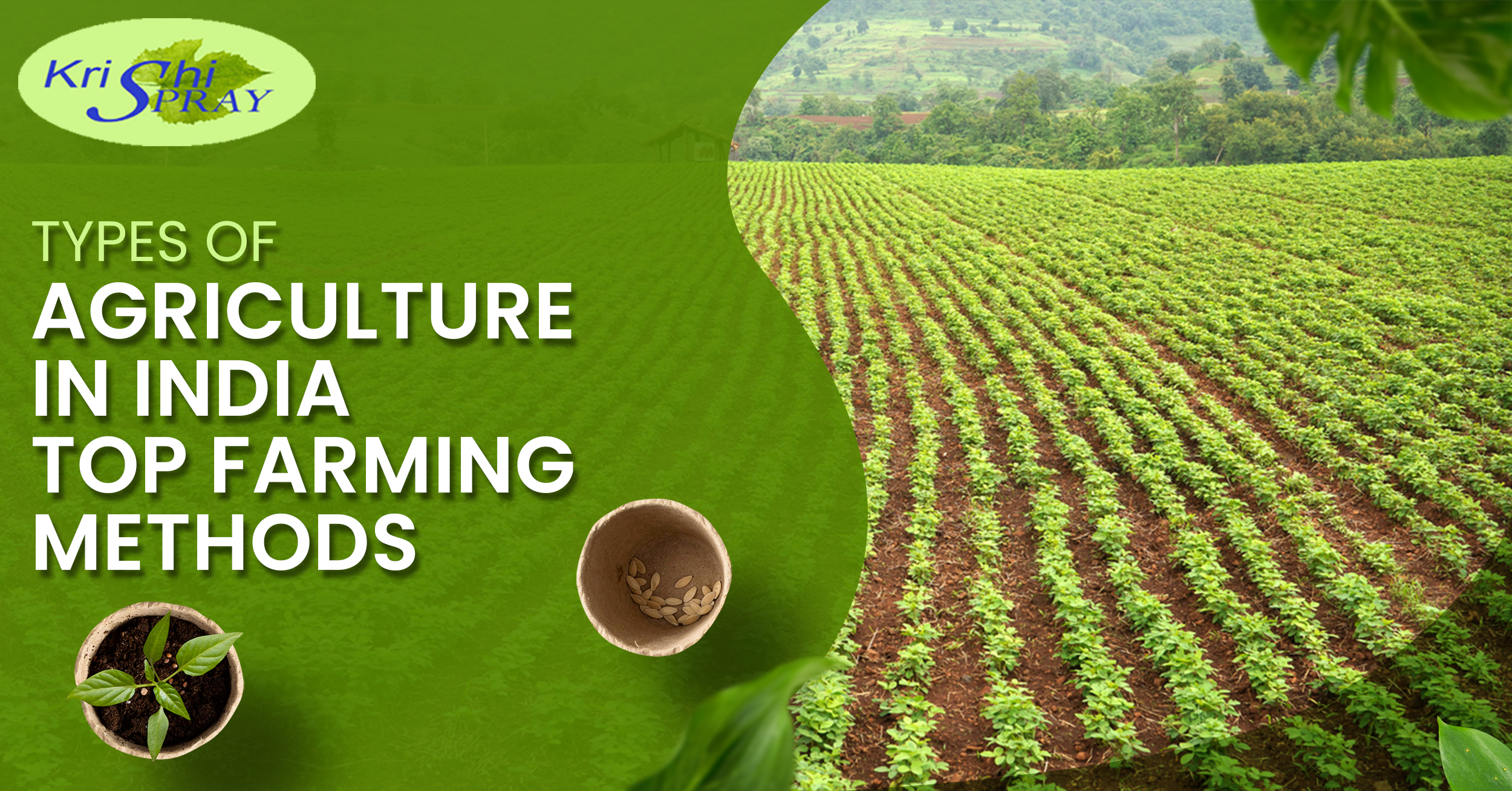 Different Types of Agriculture in India: Top Farming Methods