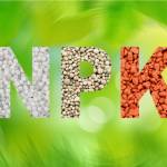 npk fertilizer Profile Picture