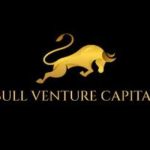 Bull Venture Capital Profile Picture