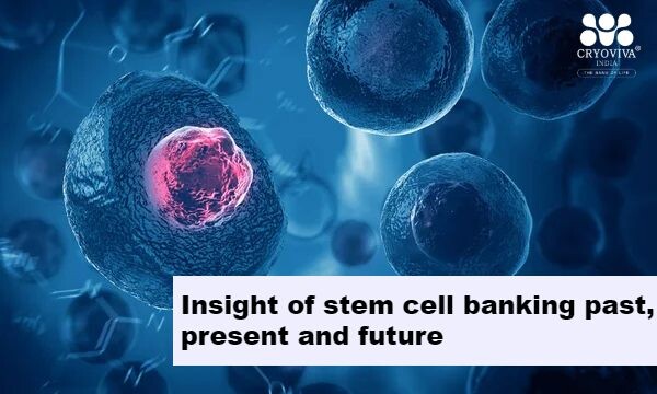 Insight of stem cell banking past, present and future