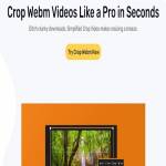 Crop webm Video Profile Picture