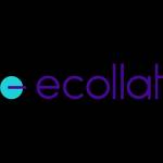 Team Ecollat Profile Picture