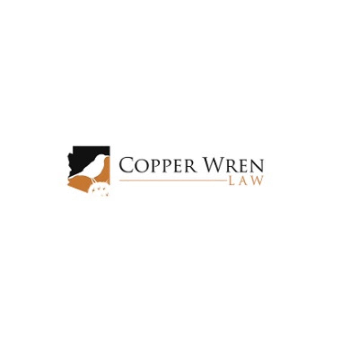 Copper Wren Law Cover Image