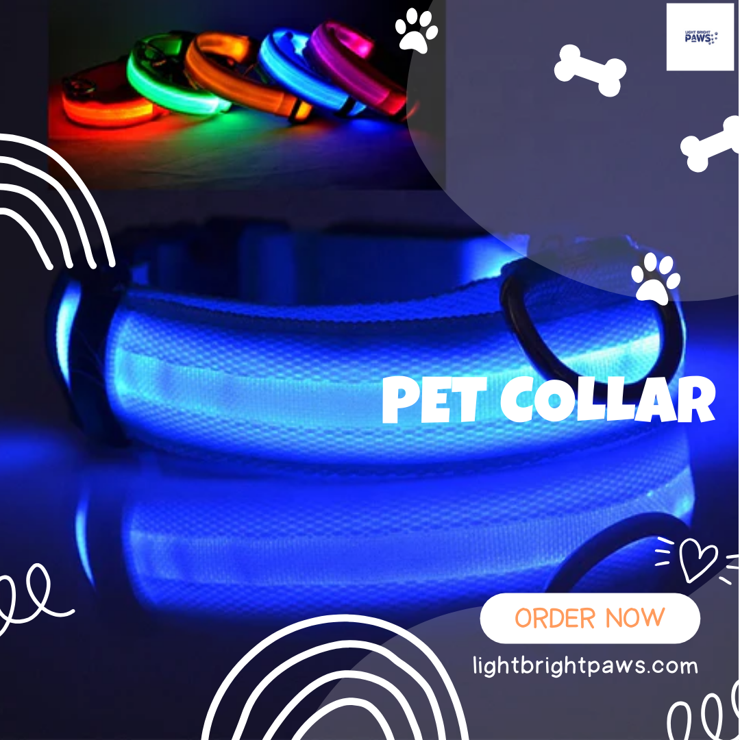 How to Choose the Right Rechargeable Light-Up Dog Collar for Your Pet's Needs?