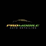 Pro Mobile Auto Detailing Profile Picture