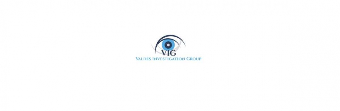 Valdes Investigation Group Cover Image