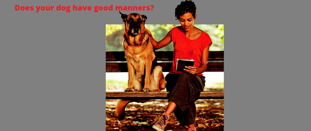 Does your dog have good manners? by Jebel K9 Training