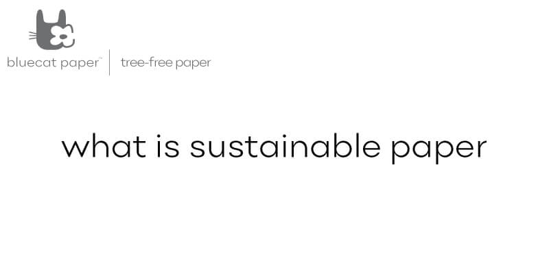Sustainable Paper - Top 10 sustainable paper available today