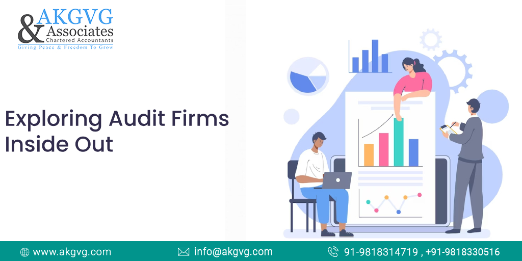 Exploring Audit Firms Inside Out