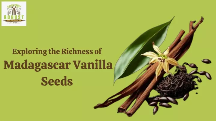 PPT - Exploring the Richness of  Madagascar Vanilla Seeds PowerPoint Presentation - ID:13059001