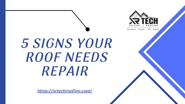 5 SIGNS YOUR ROOF NEEDS REPAIR | XR TECH ROOFING