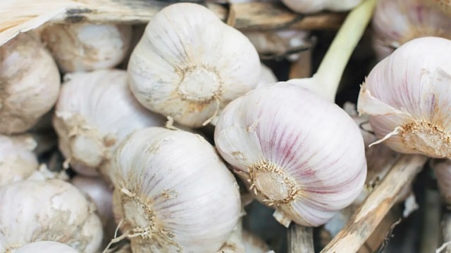 Benefits Of Garlic For Men's Health | Health Fitness Tips