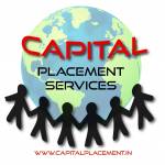 Capital Placement Services Profile Picture