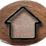 Coconut Contracting Profile Picture