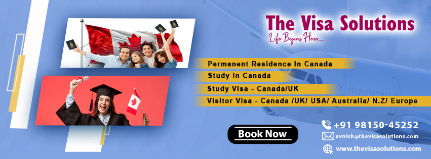 The Visa Solutions Cover Image