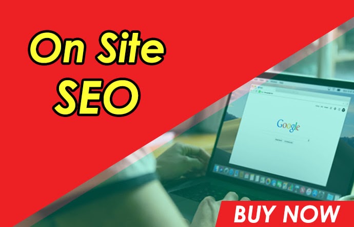 I will optimize on page SEO for your website
