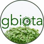 Gbiota System Profile Picture