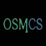 Om Sai Management Consulting Services Profile Picture