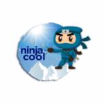 Ninja Cool Profile Picture