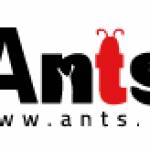 Ants Creation Web Design company Profile Picture